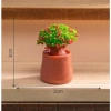Mô hình chậu cây nhỏ tiểu cảnh sân vườn decor nhà Stellariva giảm giá 6.662 VND 9