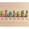 Mô hình chậu cây xương rồng 1.8x3.4cm - Trang trí tiểu cảnh, bonsai, móc khóa, DIY chỉ 6.000đ 2