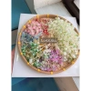 Móc khóa & Dây treo điện thoại hoa Linh Lan - Nhỏ xinh, tinh tế, may mắn, giảm giá 23% chỉ 19.000đ 2