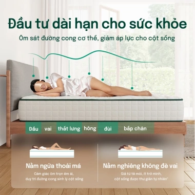 Mosswood Nệm Foam 20cm Lò xo túi độc lập - Tiếng ồn thấp, hỗ trợ cột sống, 2.399.000₫ 3