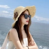 Mũ rộng vành che nắng hoa gấp gọn tiện dụng thời trang hè nữ - Giá ưu đãi 162k 6