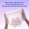 Mua 5 tặng 1 Băng vệ sinh dạng quần Minemoon chống tràn ban đêm size S/M/L/XL 30 miếng 5