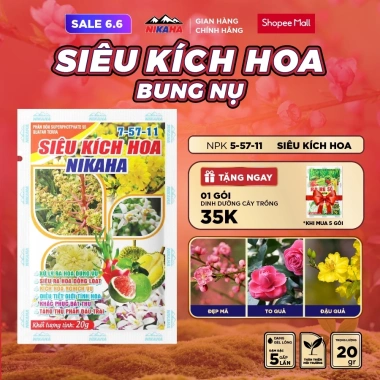 Mua 5 tặng 1 Phân Bón Hữu Cơ Siêu Kích Hoa, Hãm Chồi, Chống Rụng Hoa, Tăng Thụ Phấn NIK AHA 20gr - 31.150₫