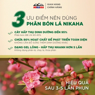 Mua 5 tặng 1 Phân Bón Hữu Cơ Siêu Kích Hoa, Hãm Chồi, Chống Rụng Hoa, Tăng Thụ Phấn NIK AHA 20gr - 31.150₫ 2