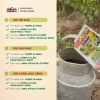 Mua 5 tặng 1 Phân Bón Hữu Cơ Siêu Kích Hoa, Hãm Chồi, Chống Rụng Hoa, Tăng Thụ Phấn NIK AHA 20gr - 31.150₫ 3
