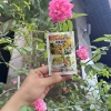 Mua 5 tặng 1 Phân Bón Hữu Cơ Siêu Kích Hoa, Hãm Chồi, Chống Rụng Hoa, Tăng Thụ Phấn NIK AHA 20gr - 31.150₫ 4