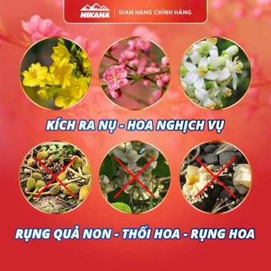 Mua 5 tặng 1 Phân Bón Hữu Cơ Siêu Kích Hoa, Hãm Chồi, Chống Rụng Hoa, Tăng Thụ Phấn NIK AHA 20gr - 31.150₫ 7