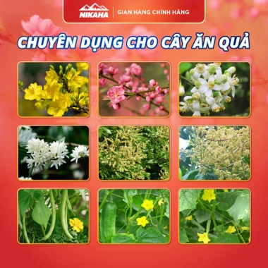 Mua 5 tặng 1 Phân Bón Hữu Cơ Siêu Kích Hoa, Hãm Chồi, Chống Rụng Hoa, Tăng Thụ Phấn NIK AHA 20gr - 31.150₫ 9