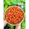 Mứt anh đào 1kg - Chua ngọt xí muội ô mai, đào chẻ trái, giảm giá 95.000đ 6