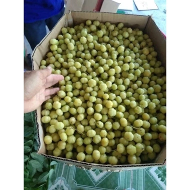 Mứt Chùm Ruột Sóc Chanh Muối Chua Ngọt 1kg/500gr Siêu Ngon Giá Ưu Đãi 69.000₫