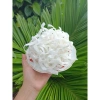 Mứt Dứa Dây Bánh Tẻ Bến Tre 500gr Thơm Ngon Giá Giảm 75.000đ Tiết Kiệm Ngay 4