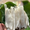 Mứt Dừa Non Mềm Dẻo Ít Đường, Màu Tự Nhiên - Đặc Sản Bến Tre, Giá 89.000₫ 7