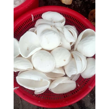 Mứt dừa non nhà làm dạng đũa Giá sỉ 58.000đ thơm ngon chất lượng cao 2