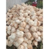 Mứt dừa non nhà làm dạng đũa Giá sỉ 58.000đ thơm ngon chất lượng cao 4
