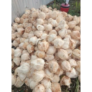 Mứt dừa non nhà làm dạng đũa Giá sỉ 58.000đ thơm ngon chất lượng cao 4