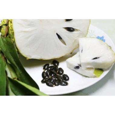 Mứt Mãng Cầu Ái Liên 200g-500g-1Kg - Ngon tự nhiên, giảm còn 55.000 VND 4