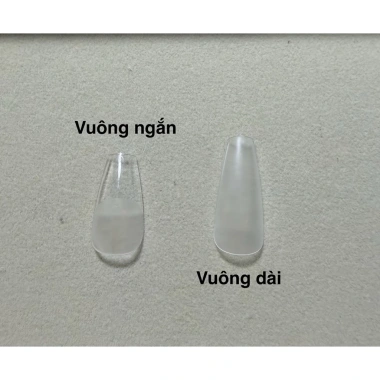 Nailbox mắt mèo 10 móng tay giả đủ size sang chảnh chụp áo dài Tết, giá 55.000