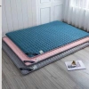 Nệm Thảo Dược Nhật Cao Cấp Trải Sàn - Topper Chống Đau Lưng, Giảm Mệt Mỏi - FREESHIP - 146.200₫ 8