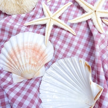 Nền Vải Caro Picnic Chụp Ảnh Sản Phẩm Phong Cách Hàn Quốc - Giá ưu đãi 100k