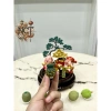 Ngũ quả mini mô hình trái cây trang trí bàn thờ, bàn làm việc - Giá 15.000₫ 10