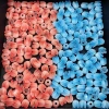 Nguyên Liệu Làm Đèn Hoa Tulip Bông Tulip Mini Nhựa Giá 6.000đ Giảm Giá Đặc Biệt 2