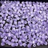 Nguyên Liệu Làm Đèn Hoa Tulip Bông Tulip Mini Nhựa Giá 6.000đ Giảm Giá Đặc Biệt 6