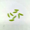 Nguyên Liệu Làm Đèn Hoa Tulip Bông Tulip Mini Nhựa Giá 6.000đ Giảm Giá Đặc Biệt 8