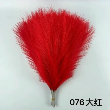 Nhánh lau nhân tạo cành khổng tước lông vũ - Bông Lau Pháo Hoa Tết 2.026 chỉ 36.000₫ 10