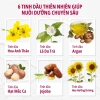 Nước Hoa FOELLIE Eau de Fleur 5ml Hương Trái Cây Ngọt Ngào Màu Hồng 299k 5