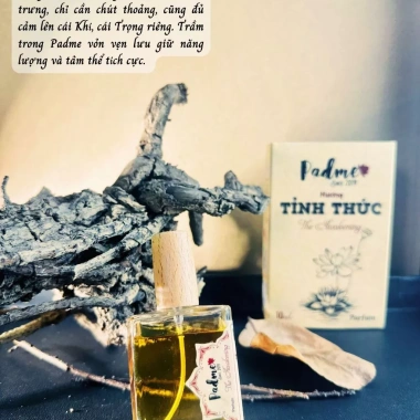 Nước Hoa Gỗ Trầm Hương Padme Nam Sang Trọng, Mạnh Mẽ, Lưu Hương Lâu 155k