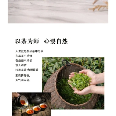 Nước hoa hương trà lâu phai cho nam & nữ - mùi dễ chịu, giảm giá 69.300₫ 5