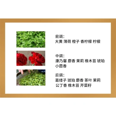 Nước hoa hương trà lâu phai cho nam & nữ - mùi dễ chịu, giảm giá 69.300₫ 9