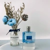 Nước hoa nam Blue chính hãng Singapore - Jolie Dion EDP 60ml, thơm lâu 134.999₫ 5