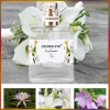 Nước Hoa Nữ CocoSiliya 50ml - Hương Thơm Sang Chảnh, Giá Ưu Đãi 48.000 VNĐ 7