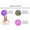 Nước hoa nữ Paris Lover 50ml PN007 - Thơm lâu, nhẹ nhàng sexy, giá 92.000 VND 3