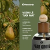 Nước hoa ô tô 1Roadtrip 100ml Pear Grove - Tinh dầu thiên nhiên, khử mùi, chống say xe, thơm lâu, giảm giá 386k 2