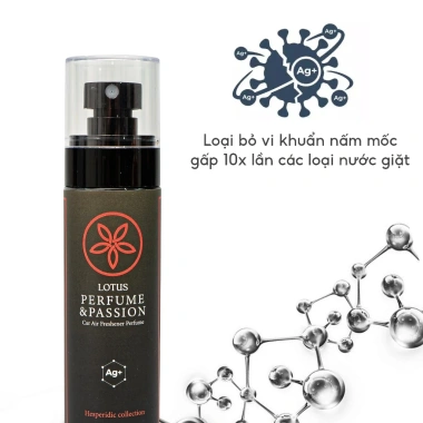 Nước hoa ô tô AutoX Nano Bạc – Hương gỗ thơm trầm, diệt khuẩn, kháng mùi, chống say xe, an toàn sức khỏe – 199.000đ 2