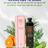 Nước hoa ô tô AutoX Nano Bạc – Hương gỗ thơm trầm, diệt khuẩn, kháng mùi, chống say xe, an toàn sức khỏe – 199.000đ 3