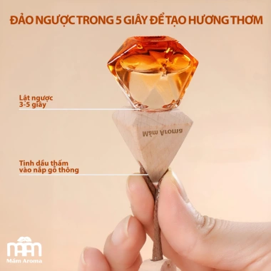 Nước Hoa Treo Xe Ô Tô Mầm Aroma Hương Cafe - Tinh Dầu Khử Mùi, Dễ Chịu, Không Gây Say, Giá 79.000đ 5