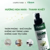 Nước hoa xịt phòng TAMAN hương hoa nhài Thơm lâu lưu hương dễ chịu 58,800 VND 4