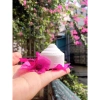 Phấn Nụ Hoàng Cung 25gr Chống Lão Hóa Dưỡng ẩm và Tăng Độ Đàn Hồi Giá Ưu Đãi 183.870 VND 4