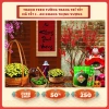 Phông nền chụp ảnh Tết 2.026 - Tranh vải treo tường trang trí, giá chỉ 99.000đ (124.740đ) 7