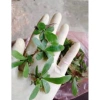 Phụng mini bán cạn - Cây tổ quạ mini, tiểu cảnh đẹp, giá 15.000đ 5