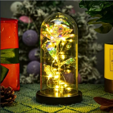 Quà sinh nhật lãng mạn: Đèn LED hoa hồng trong kính Century - Giá ưu đãi 88.900₫