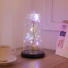 Quà sinh nhật lãng mạn: Đèn LED hoa hồng trong kính Century - Giá ưu đãi 88.900₫ 10