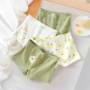 Quần chip đùi tam giác bé gái cotton kháng khuẩn với hình dễ thương Ebestore 10