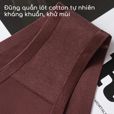 Quần lót nữ lụa bóng không viền chữ V, bikini cạp kim loại thể thao gợi cảm - Giá chỉ 55.000₫ 4