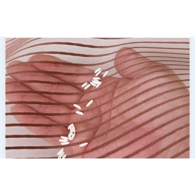 Rèm lưới chống muỗi cửa sổ dán tường NAM CHÂM từ tính tự đóng - Giá 94.500đ 8