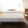 Ruột chăn đông Osaka 2.0kg 2m-2m2 cao cấp giá chỉ 241.224 VND giảm 70k 3