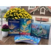 Sách Giải Pháp NAP – Làm Chủ Lý Thuyết Vận Dụng Cao, Giảm Giá Đặc Biệt 500k 9